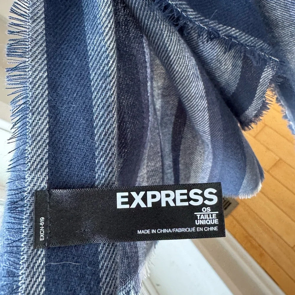 Express Navy Blue Striped Scarf
